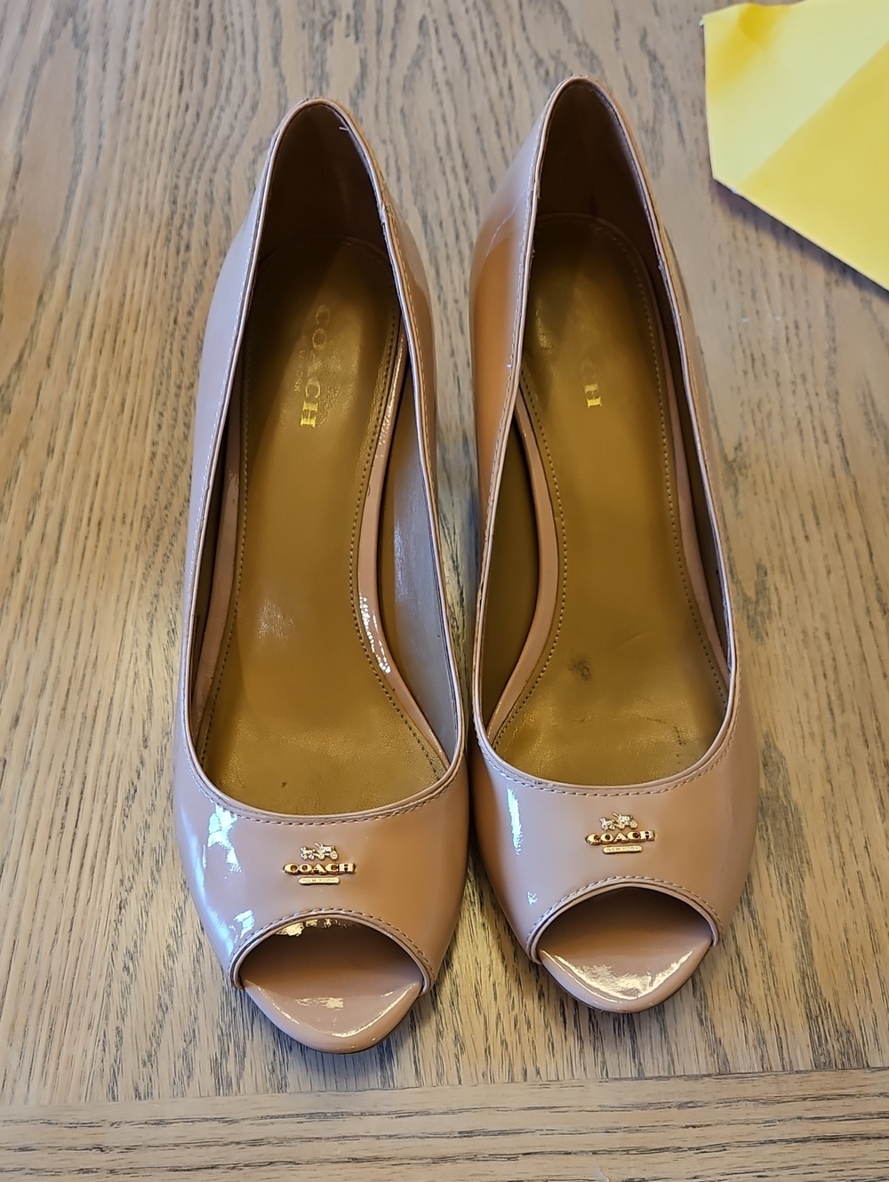 Coach Delilah Peep Toe Pumps